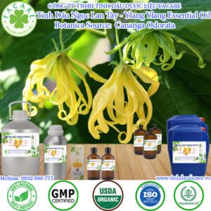 Tinh Dầu Ngọc Lan Tây - Ylang Ylang Essential Oil