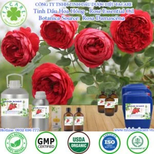 Tinh Dầu Hoa Hồng - Rose Essential Oil