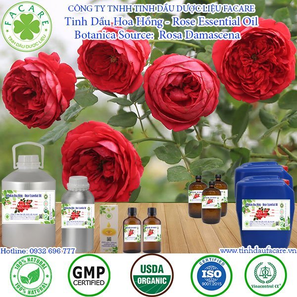 Tinh Dầu Hoa Hồng - Rose Essential Oil