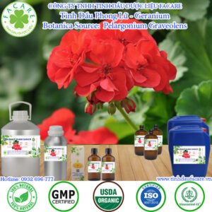 Tinh Dầu Phong Lữ - Geranium Essential Oil