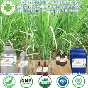 tinh dầu sả chanh