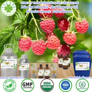 Dầu Hạt Mâm Xôi - Red Rasprerry Oil