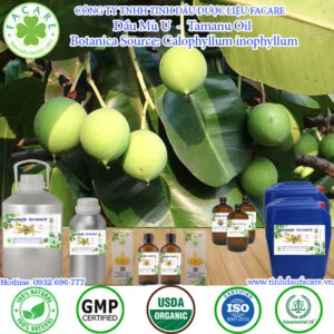 Dầu Mù U (Tamanu Oil)