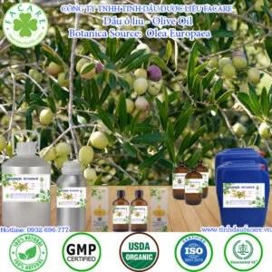 Dầu Ô Liu - Olive Oil