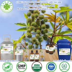 Dầu Thầu Dầu - Castor Oil