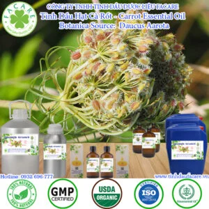 Tinh Dầu Hạt Cà Rốt - Carrot Essential Oil