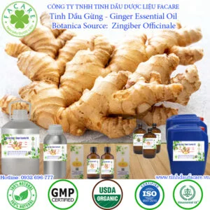 Tinh Dầu Gừng - Ginger Essential Oil
