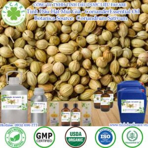 Tinh Dầu Hạt Ngò (Coriander Essential Oil)