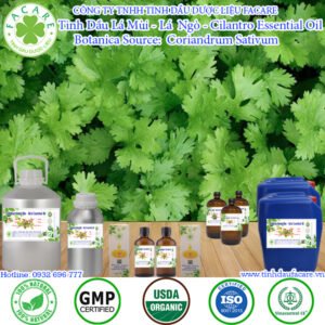 Tinh Dầu Rau Mùi - Cilantro Leaf Essential Oil