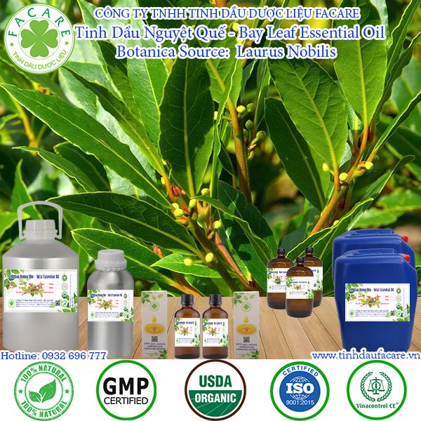 Tinh Dầu Nguyệt Quế - Bay Leaf Essential Oil