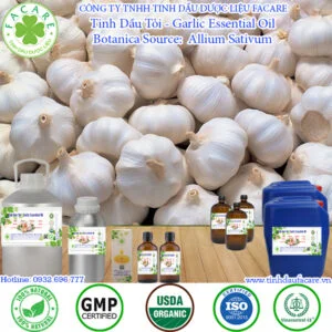 Tinh Dầu Tỏi - Garlic Essential Oil