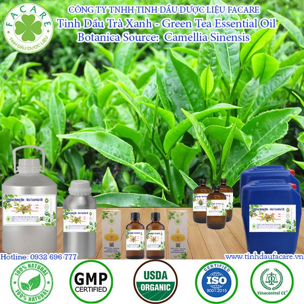 Tinh Dầu Trà Xanh - Green Tea Essential Oil