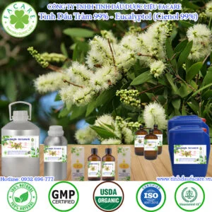Tinh Dầu Tràm 99% – Eucalyptol 99% (Cineole 99%)