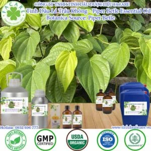 tinh dầu trầu không