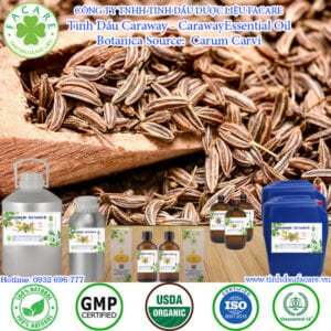 Tinh Dầu Caraway - Caraway Oil