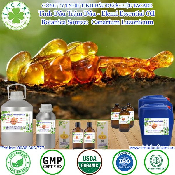 Tinh Dầu Trám Dầu - Elemi Essential Oil