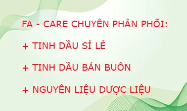 tinh dầu giá sỉ